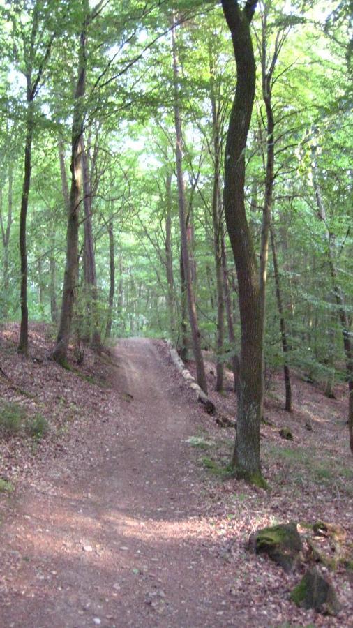 Marita Апартаменты Wimbach